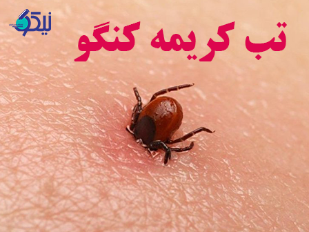 علائم و نشانه های تب کریمه کنگو چیست؟