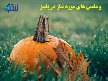 ويتامين هاي مورد نياز در فصل پاييز کدامند؟