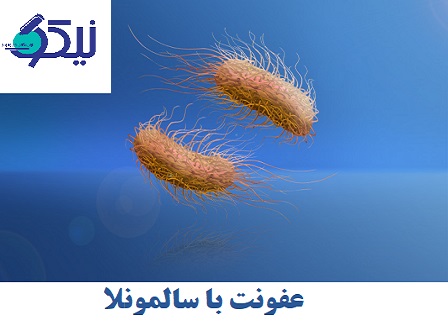 عفونت با سالمونلا چیست؟