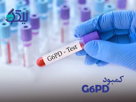 بیماری فاویسم (کمبود G6PD) ؛ چرا برخی افراد با خوردن باقلا دچار بحران می‌شوند؟