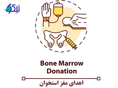 پيوند مغز استخوان چيست؟