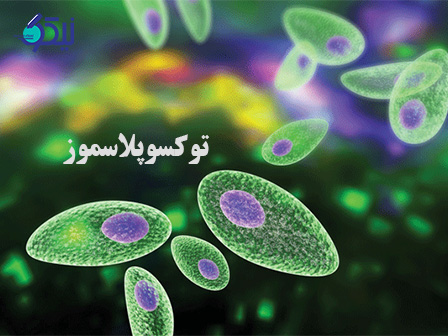 توکسوپلاسموز چیست؟