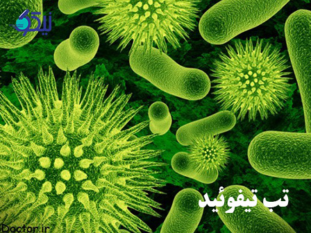 تب تیفوئید؛ هنر تشخیص زودهنگام در برابر قاتل خاموش گوارشی